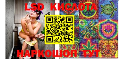 кокс Шебекино
